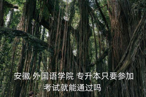  安徽 外國語學院 專升本只要參加考試就能通過嗎