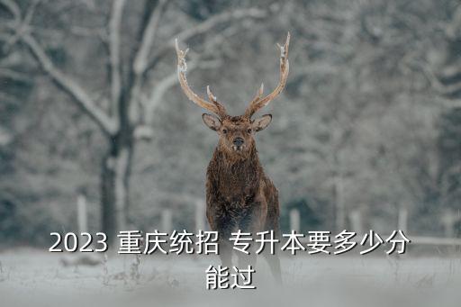 2023 重慶統(tǒng)招 專升本要多少分能過(guò)
