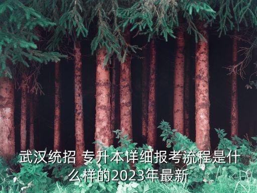 在武漢專升本考試,武漢專升本考試時(shí)間2022年具體時(shí)間