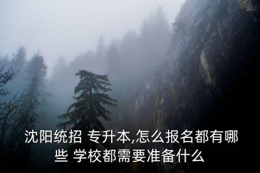  沈陽(yáng)統(tǒng)招 專升本,怎么報(bào)名都有哪些 學(xué)校都需要準(zhǔn)備什么