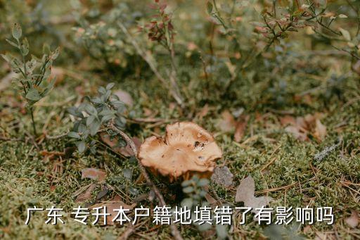廣東 專升本戶籍地填錯了有影響嗎
