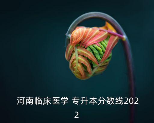 河南護理專升本多少分