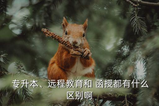 專升本、遠程教育和 函授都有什么區(qū)別啊