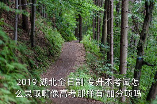 2019 湖北全日制 專升本考試怎么錄取啊像高考那樣有 加分項(xiàng)嗎