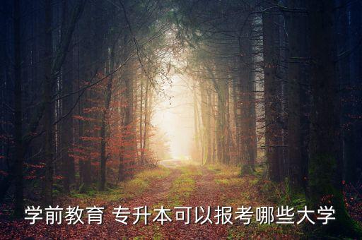 學(xué)前教育 專升本可以報(bào)考哪些大學(xué)