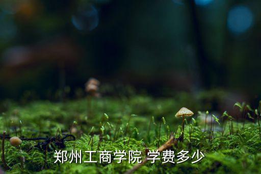 鄭州工商學(xué)院 學(xué)費(fèi)多少