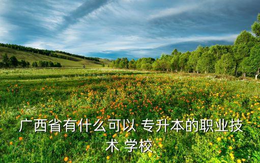  廣西省有什么可以 專升本的職業(yè)技術 學校
