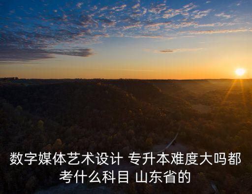 數(shù)字媒體藝術設計 專升本難度大嗎都考什么科目 山東省的
