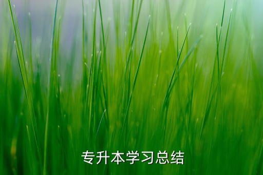  專升本學(xué)習(xí)總結(jié)