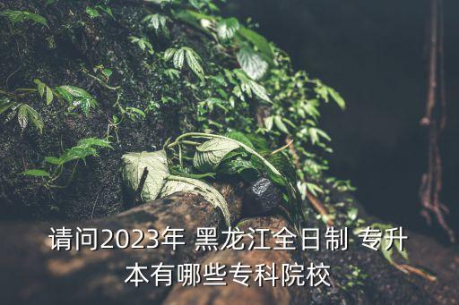 請(qǐng)問2023年 黑龍江全日制 專升本有哪些專科院校