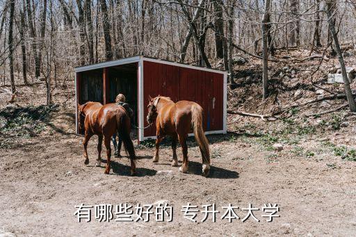 有哪些好的 專(zhuān)升本大學(xué)