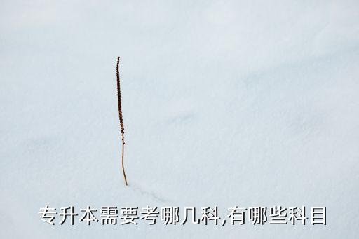 交通土建專升本要考幾門(mén),交通運(yùn)營(yíng)管理專升本考什么