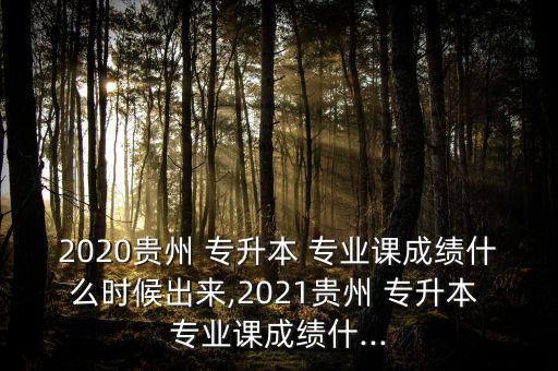2020貴州 專升本 專業(yè)課成績(jī)什么時(shí)候出來(lái),2021貴州 專升本 專業(yè)課成績(jī)什...