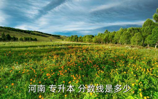  河南 專升本 分數(shù)線是多少