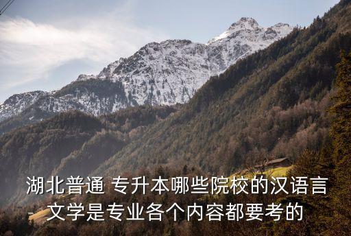 湖北語(yǔ)文教育專升本考試科目,湖北中醫(yī)藥大學(xué)專升本考試科目