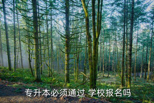 專升本做那么報(bào)考學(xué)校,電子商務(wù)專升本可報(bào)考的學(xué)校