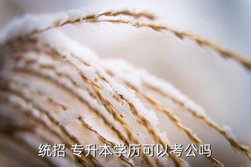 統(tǒng)招 專升本學(xué)歷可以考公嗎