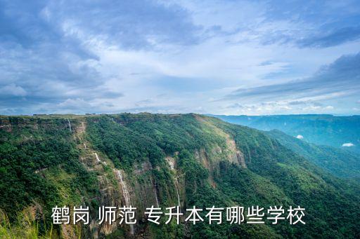 鶴崗 師范 專(zhuān)升本有哪些學(xué)校