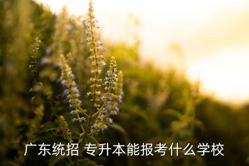 廣東統(tǒng)招 專(zhuān)升本能報(bào)考什么學(xué)校