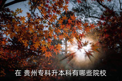 在 貴州?？粕究朴心男┰盒? class=
