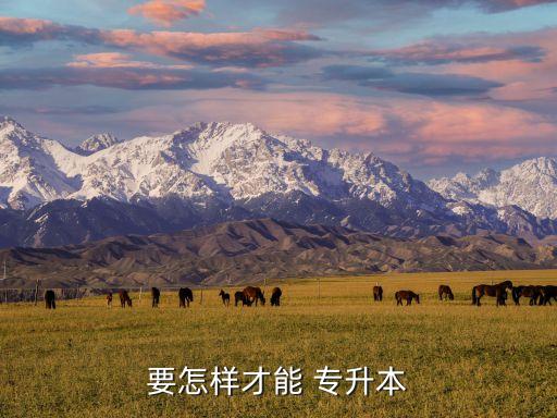 要怎樣才能 專(zhuān)升本