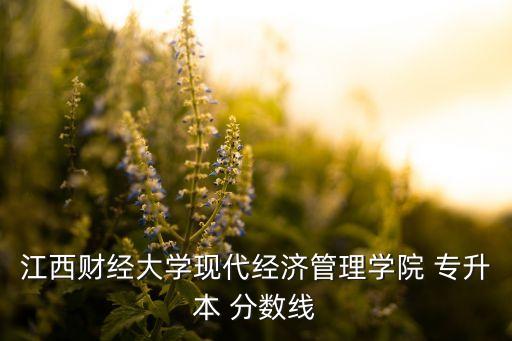 江西財經(jīng)大學(xué)現(xiàn)代經(jīng)濟管理學(xué)院 專升本 分?jǐn)?shù)線