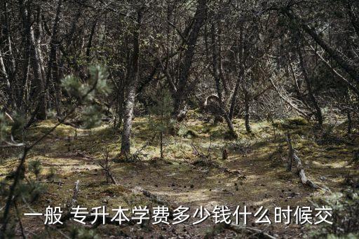 美國專升本多少錢,專升本培訓(xùn)班費用一般多少錢