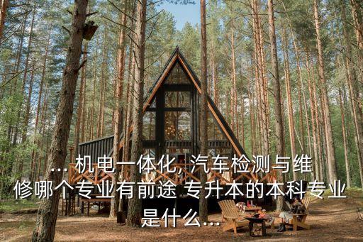 ... 機電一體化, 汽車檢測與維修哪個專業(yè)有前途 專升本的本科專業(yè)是什么...