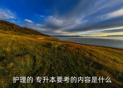 專升本護理學(xué)基礎(chǔ)試題,2020年專升本護理學(xué)基礎(chǔ)試卷及答案