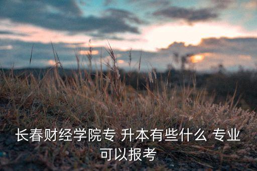 長(zhǎng)春財(cái)經(jīng)學(xué)院專(zhuān) 升本有些什么 專(zhuān)業(yè)可以報(bào)考