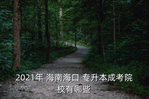 2021年 海南?？?專(zhuān)升本成考院校有哪些