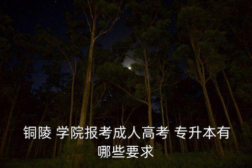  銅陵 學(xué)院報(bào)考成人高考 專(zhuān)升本有哪些要求
