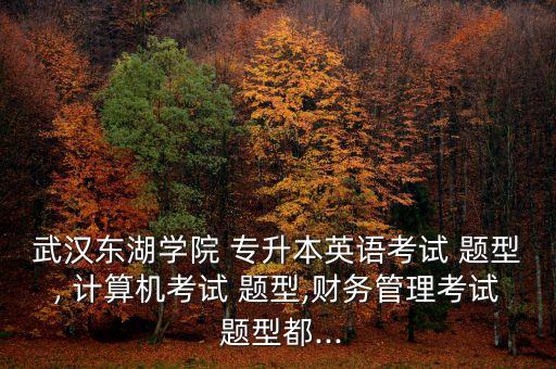武漢東湖學(xué)院 專(zhuān)升本英語(yǔ)考試 題型, 計(jì)算機(jī)考試 題型,財(cái)務(wù)管理考試 題型都...