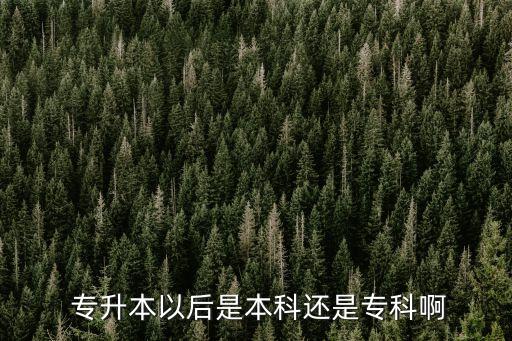  專升本以后是本科還是專科啊