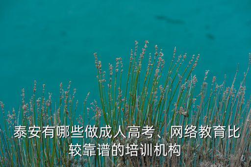  泰安有哪些做成人高考、網(wǎng)絡教育比較靠譜的培訓機構