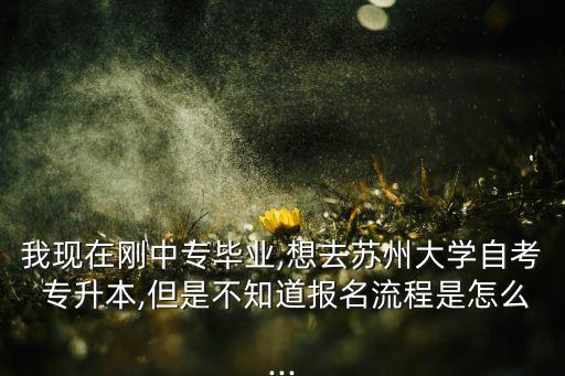 我現(xiàn)在剛中專畢業(yè),想去蘇州大學自考 專升本,但是不知道報名流程是怎么...