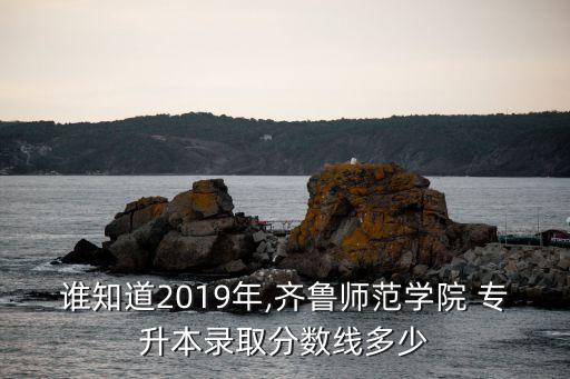 誰知道2019年,齊魯師范學院 專升本錄取分數(shù)線多少