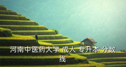 河南中醫(yī)藥大學(xué) 成人 專升本 分?jǐn)?shù)線