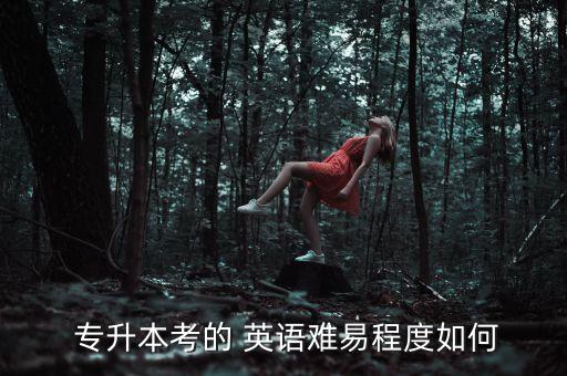  專升本考的 英語難易程度如何