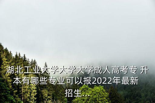 湖北工業(yè)大學(xué)大學(xué)大學(xué)成人高考專 升本有哪些專業(yè)可以報2022年最新 招生...