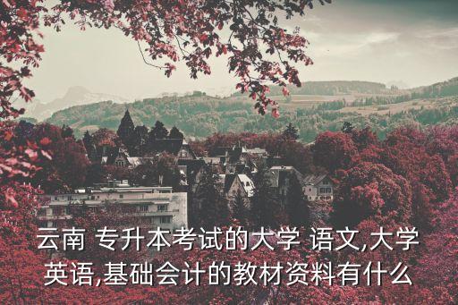 云南 專升本考試的大學(xué) 語文,大學(xué)英語,基礎(chǔ)會計(jì)的教材資料有什么