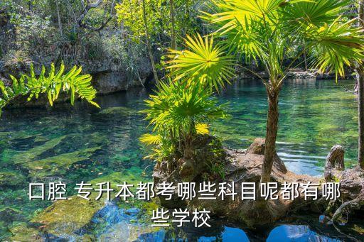  口腔 專(zhuān)升本都考哪些科目呢都有哪些學(xué)校