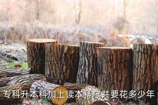 為什么學(xué)院專升本需要五年