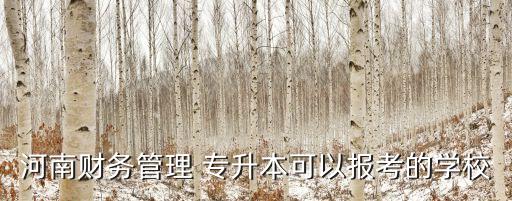 河南財(cái)務(wù)管理 專升本可以報(bào)考的學(xué)校