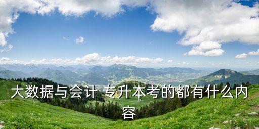 大數(shù)據(jù)與會計 專升本考的都有什么內(nèi)容