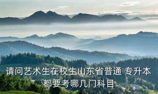 請問藝術生在校生山東省普通 專升本都要考哪幾門科目