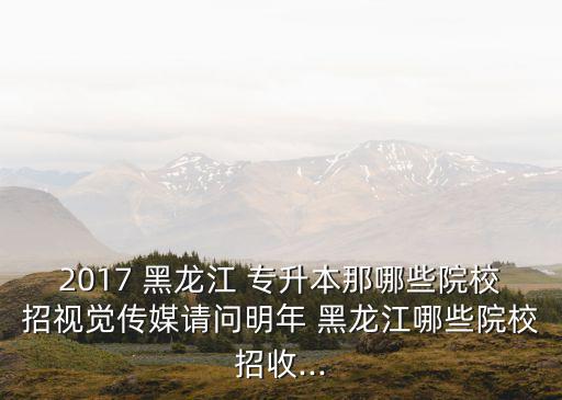 2017黑龍江針推專升本,黑龍江專升本2017年藝術概論真題