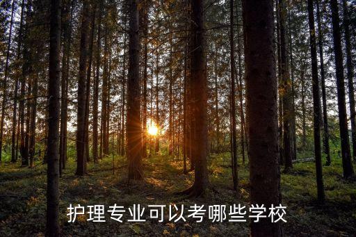 護(hù)理專業(yè)可以考哪些學(xué)校
