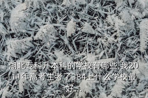 湖北?？粕究频膶W(xué)校有哪些,我2011年高考生考了384上什么學(xué)校最好...