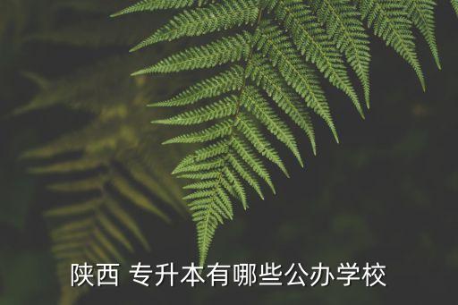 陜西 專升本有哪些公辦學(xué)校